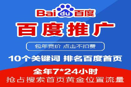 SEM运营推广策略：成功案例解析